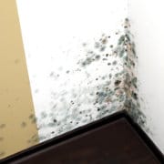 Moisissure sur mur: causes et comment enlever & éviter moisissures