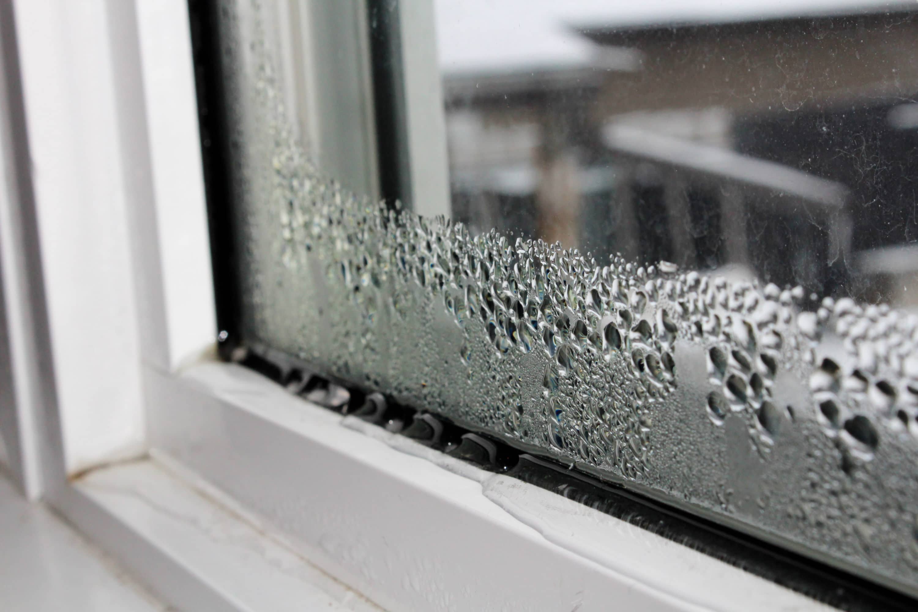 condensation sur les vitres